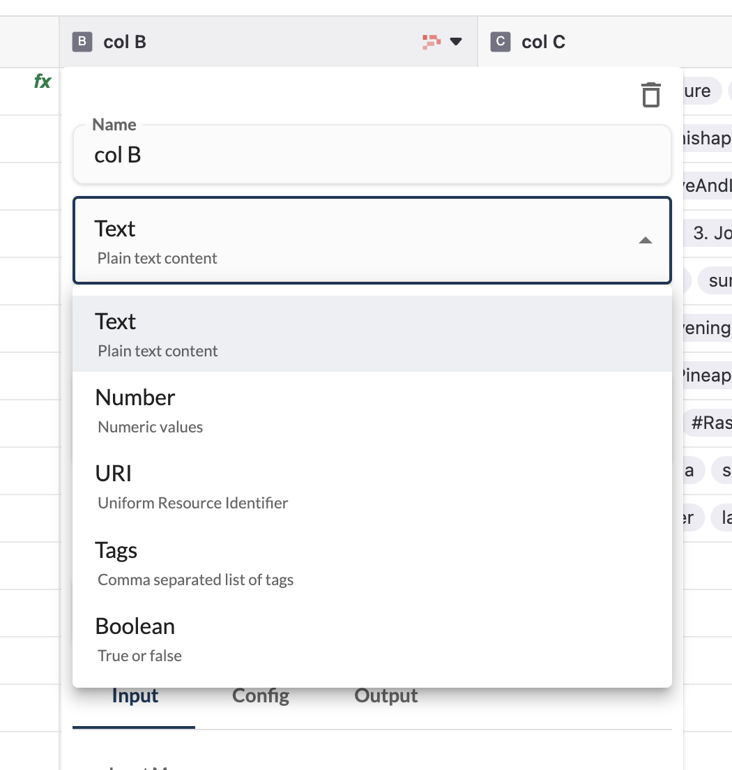 Column_types